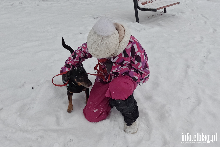 Noworoczny Bieg na 6 �ap, fot. 29