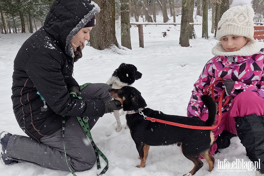 Noworoczny Bieg na 6 �ap, fot. 31