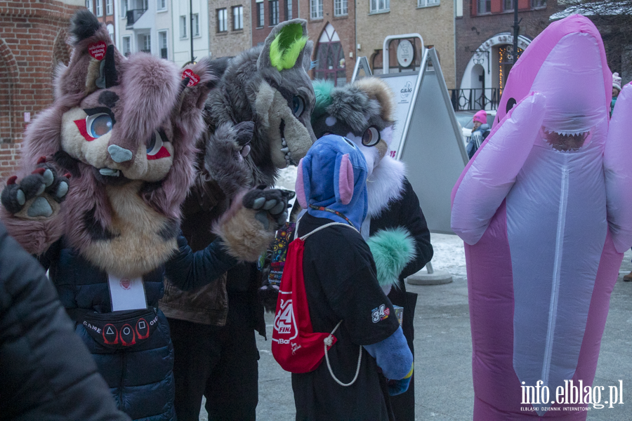 34. Fina� WO�P w Elbl�gu, fot. 35