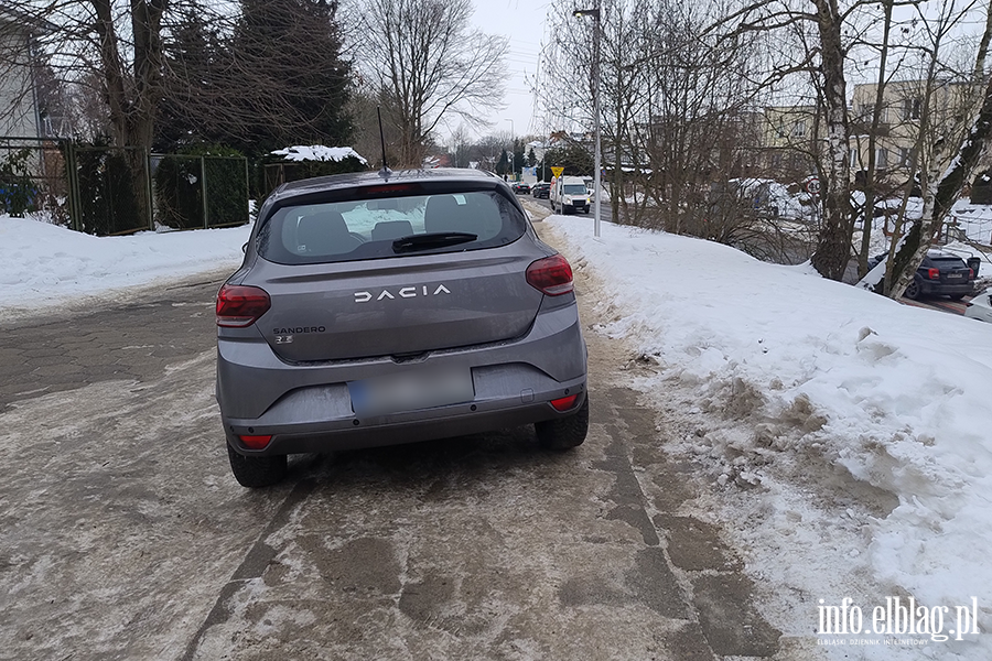 Mistrzowie Parkowania w Elbl�gu (cz�� 447), fot. 2