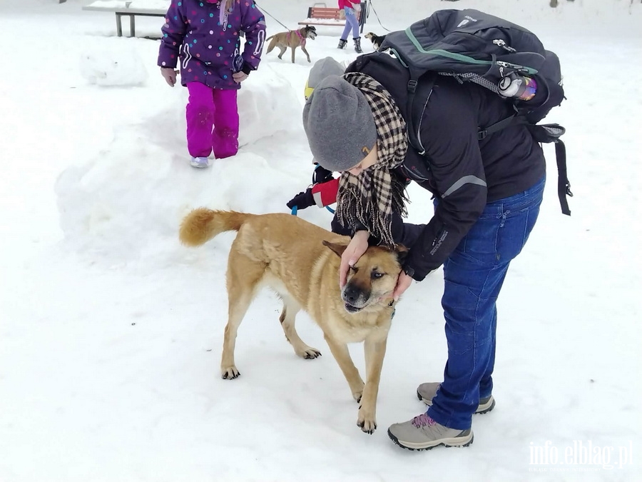 Bieg na 6 �ap, fot. 3