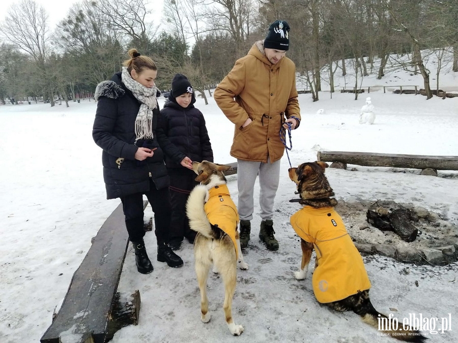 Bieg na 6 �ap, fot. 4