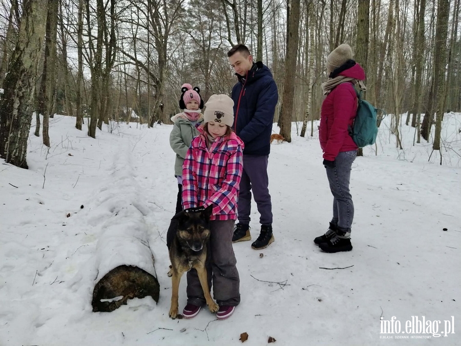 Bieg na 6 �ap, fot. 5