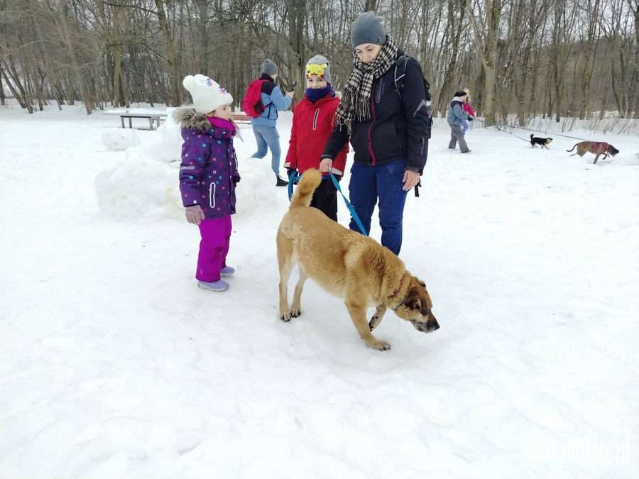 Bieg na 6 �ap, fot. 6