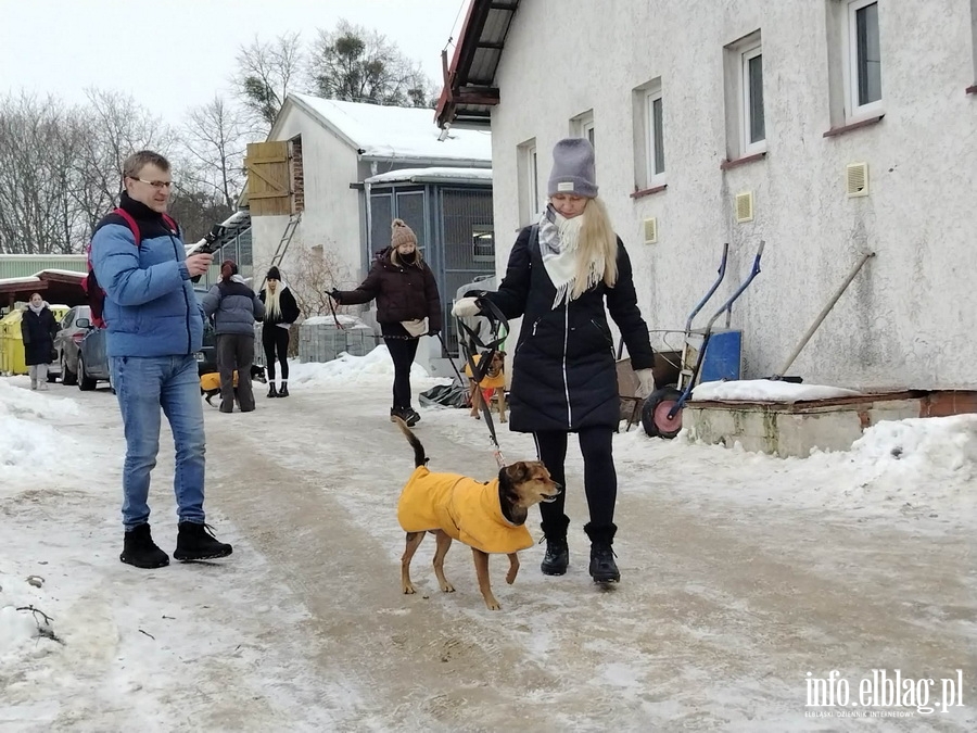 Bieg na 6 �ap, fot. 7