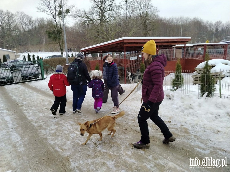 Bieg na 6 �ap, fot. 8