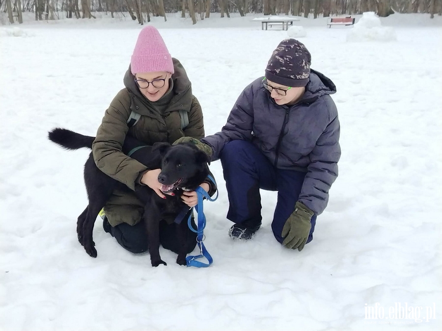 Bieg na 6 �ap, fot. 11