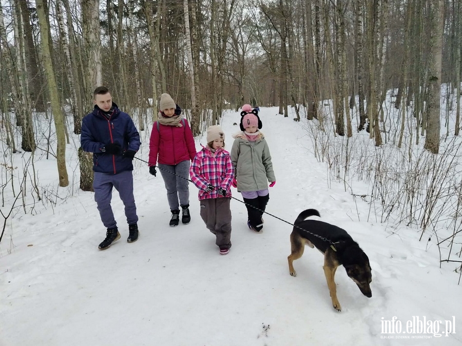 Bieg na 6 �ap, fot. 13