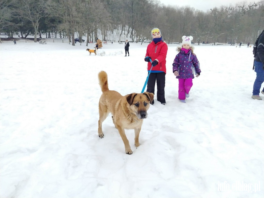 Bieg na 6 �ap, fot. 14