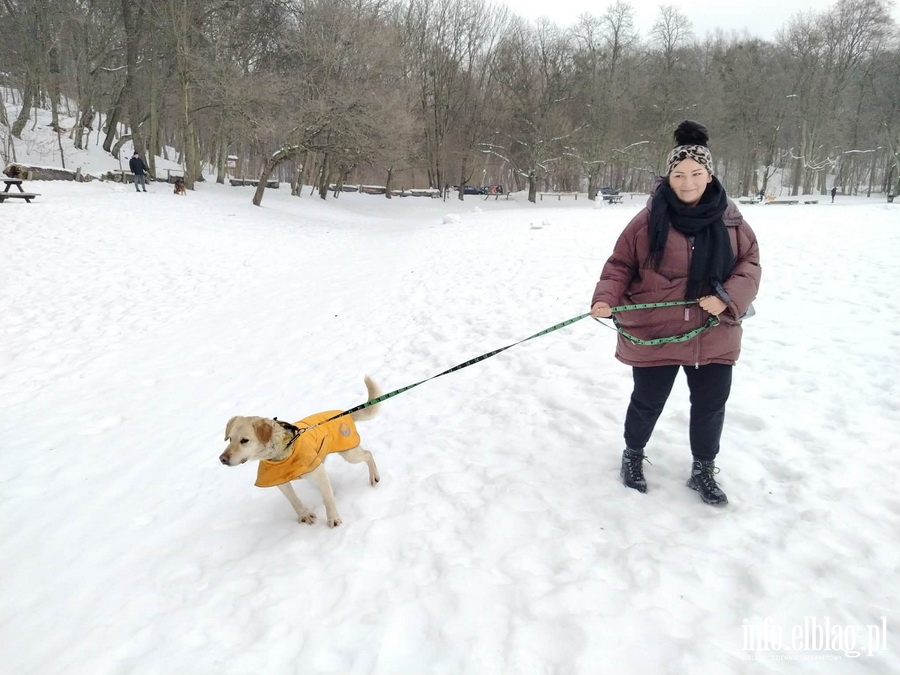 Bieg na 6 �ap, fot. 15