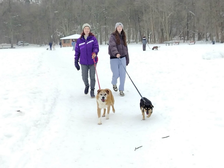 Bieg na 6 �ap, fot. 16