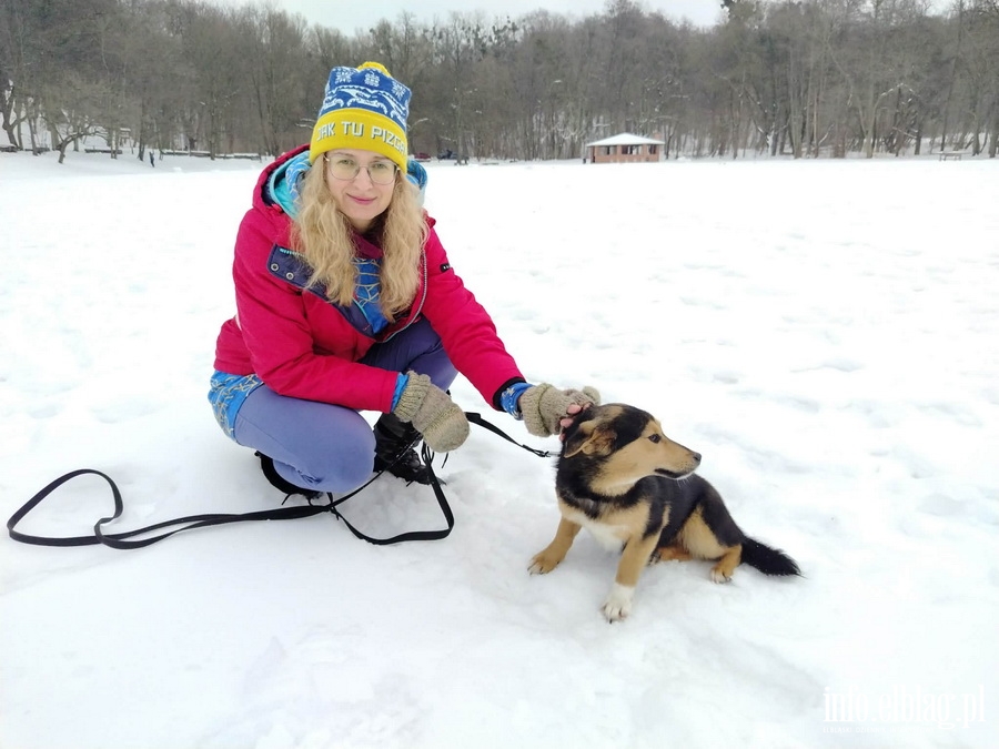 Bieg na 6 �ap, fot. 17