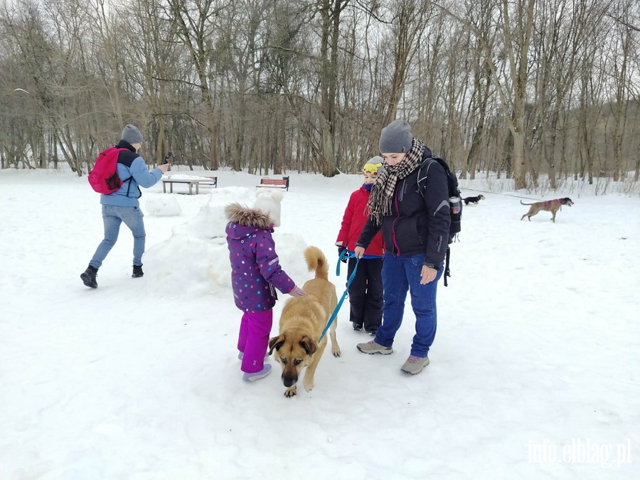 Bieg na 6 �ap, fot. 18