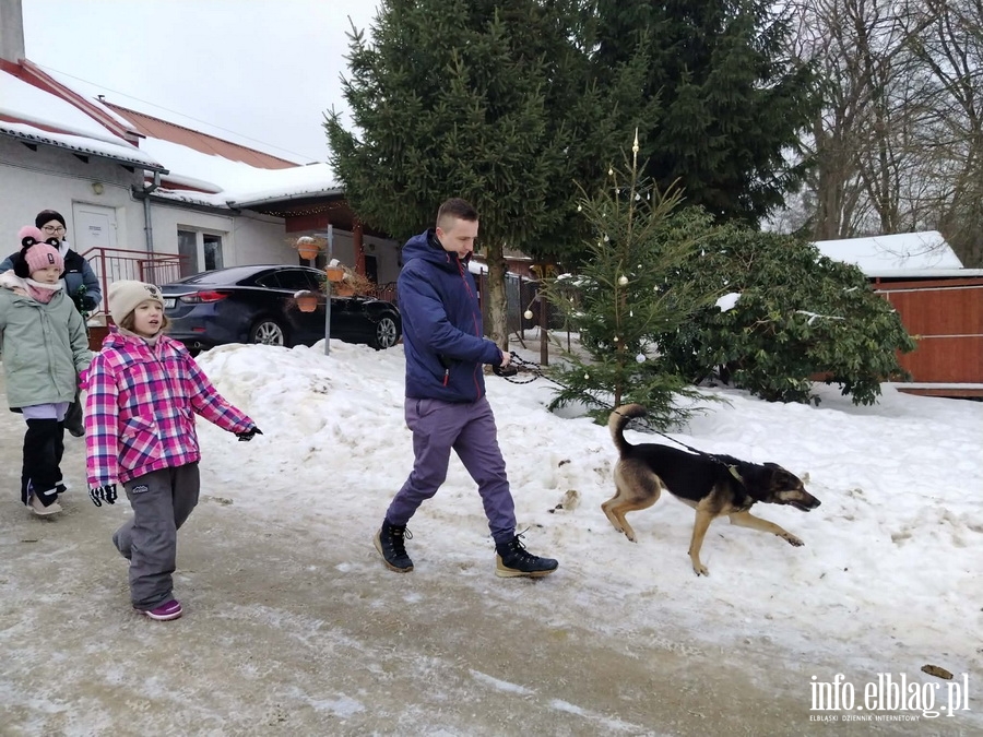 Bieg na 6 �ap, fot. 19