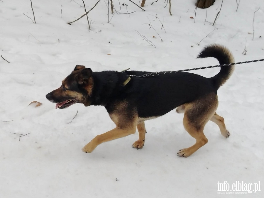 Bieg na 6 �ap, fot. 20