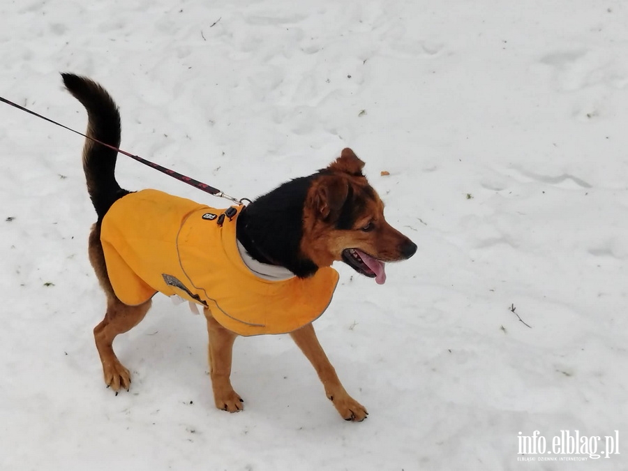 Bieg na 6 �ap, fot. 22