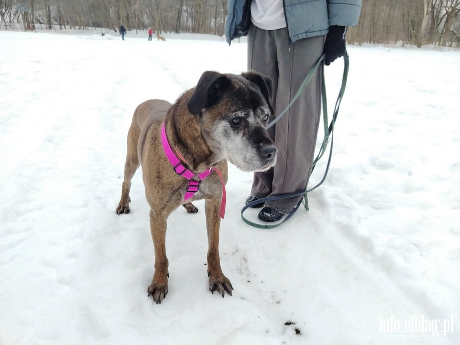 Bieg na 6 �ap, fot. 23