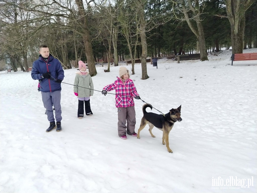 Bieg na 6 �ap, fot. 24