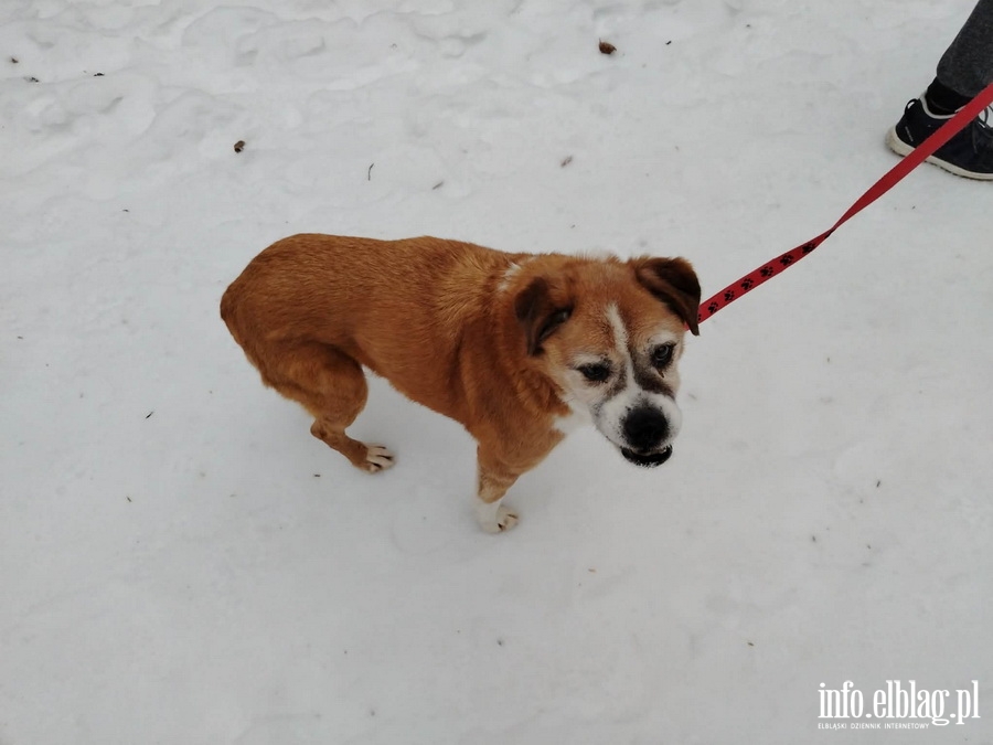 Bieg na 6 �ap, fot. 26