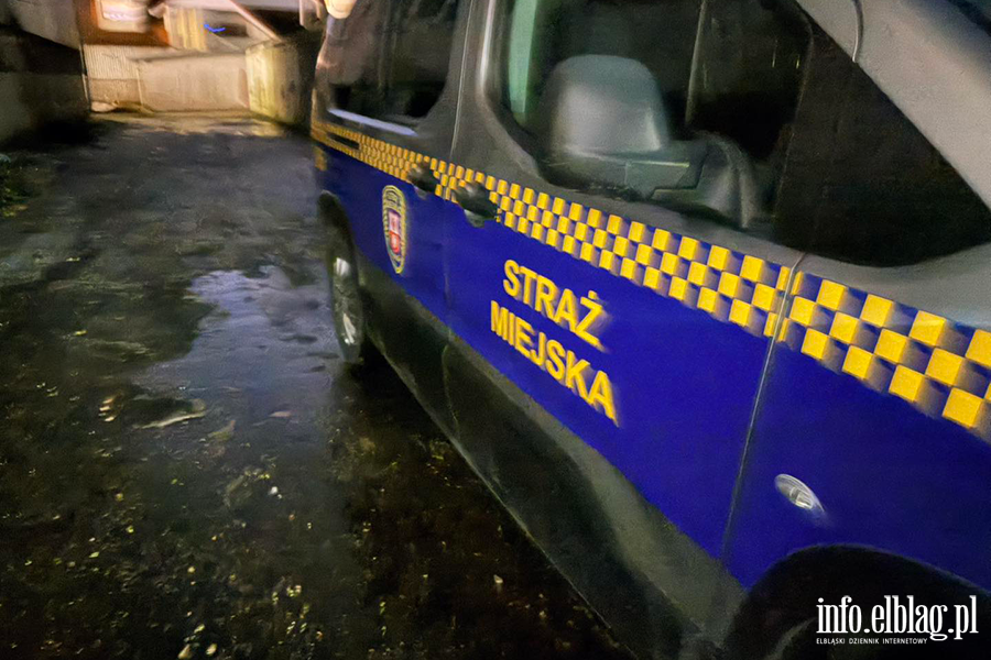 Nocne liczenie os�b w kryzysie bezdomno�ci, fot. 17