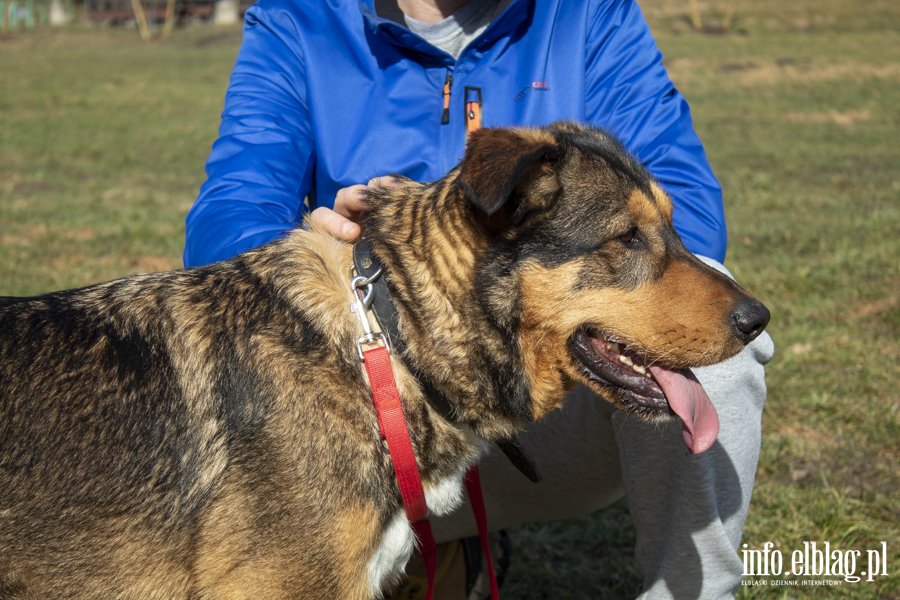 Wiosenny Bieg na 6 �ap, fot. 2