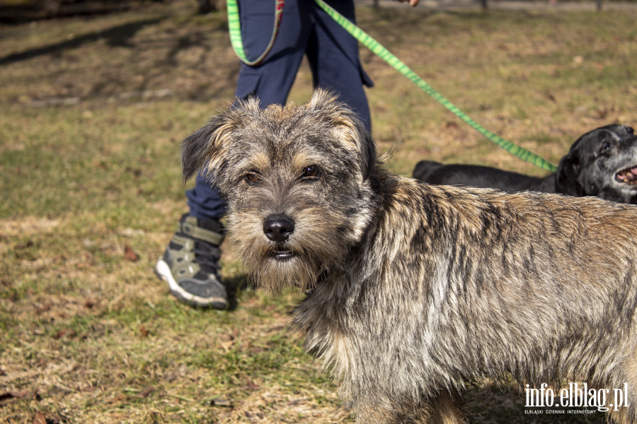 Wiosenny Bieg na 6 �ap, fot. 4