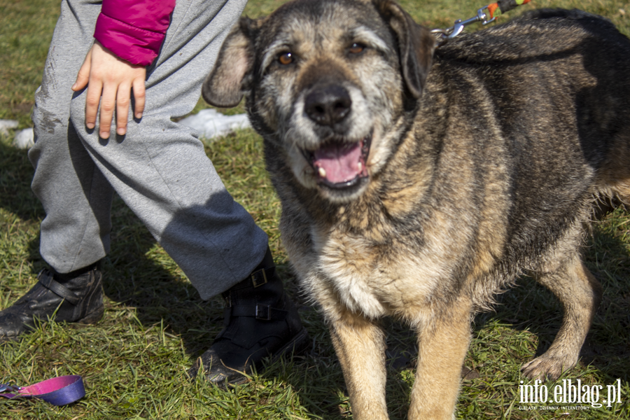 Wiosenny Bieg na 6 �ap, fot. 5