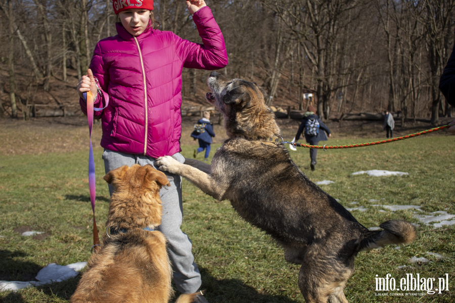 Wiosenny Bieg na 6 �ap, fot. 6