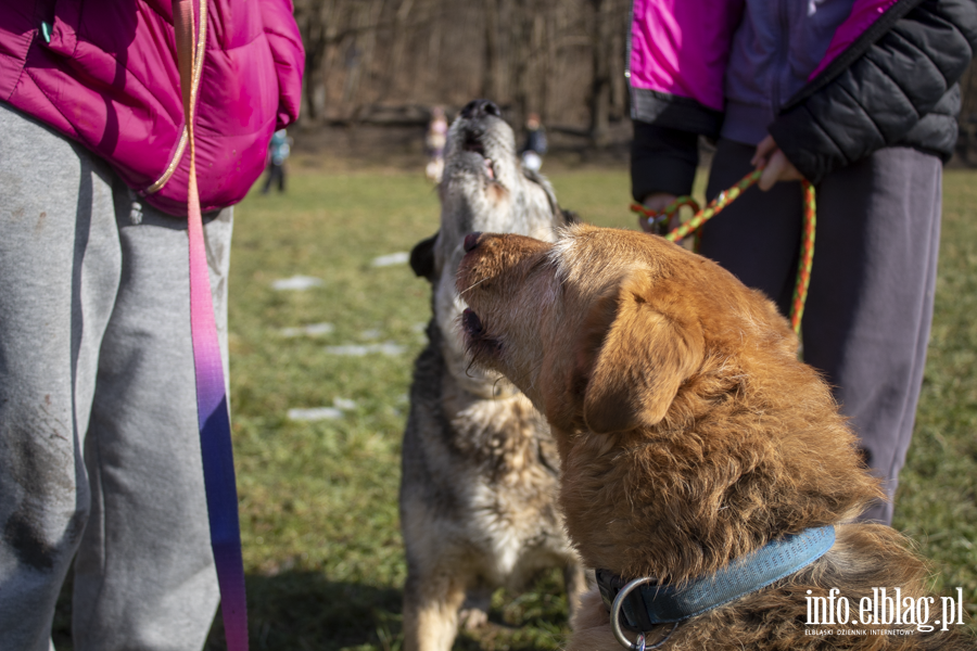 Wiosenny Bieg na 6 �ap, fot. 7