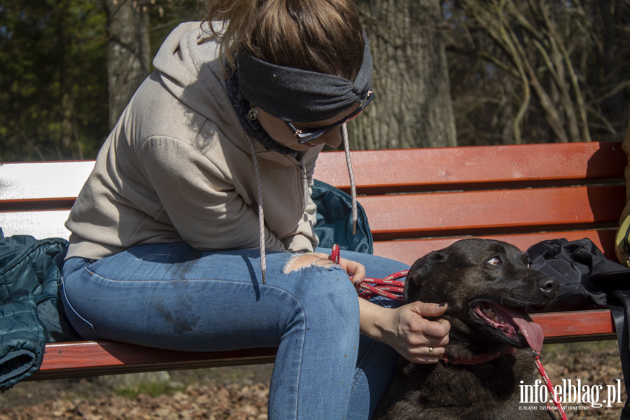 Wiosenny Bieg na 6 �ap, fot. 9