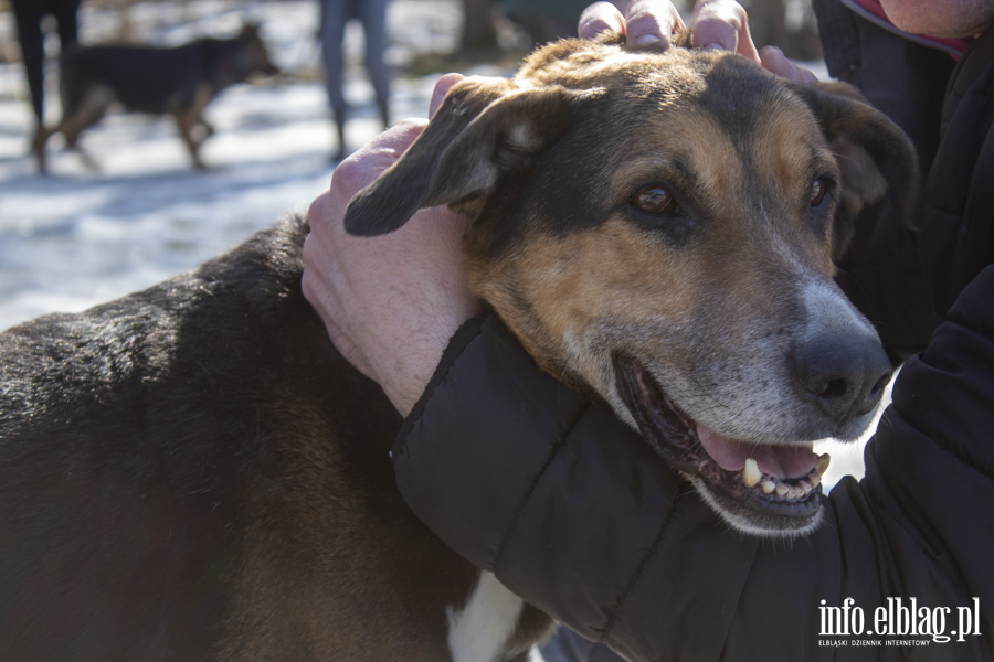 Wiosenny Bieg na 6 �ap, fot. 11