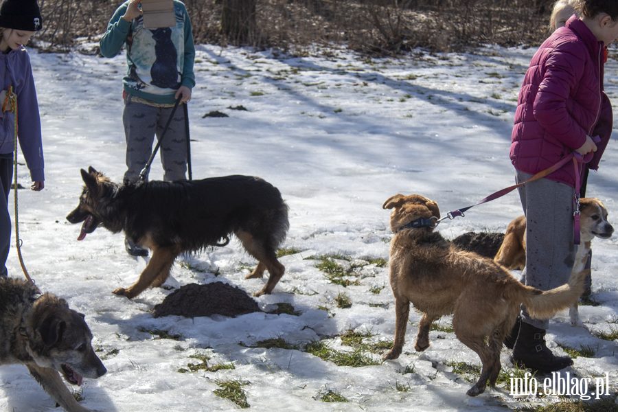 Wiosenny Bieg na 6 �ap, fot. 13