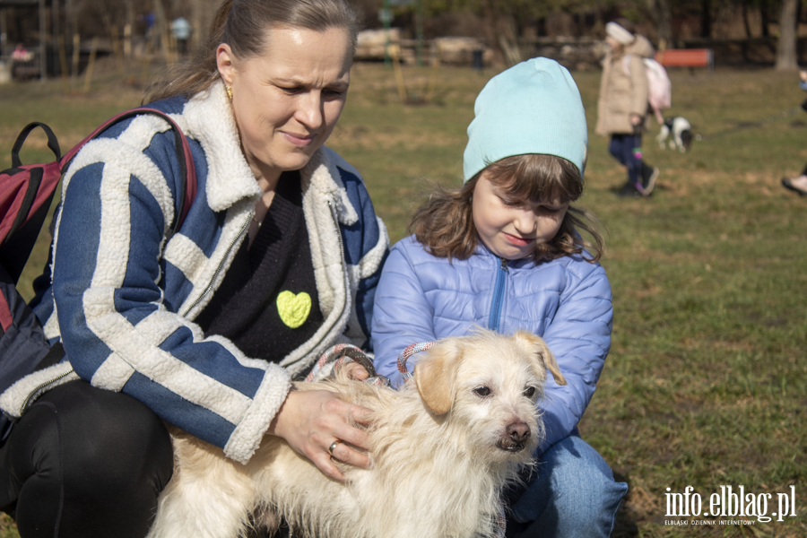 Wiosenny Bieg na 6 �ap, fot. 15