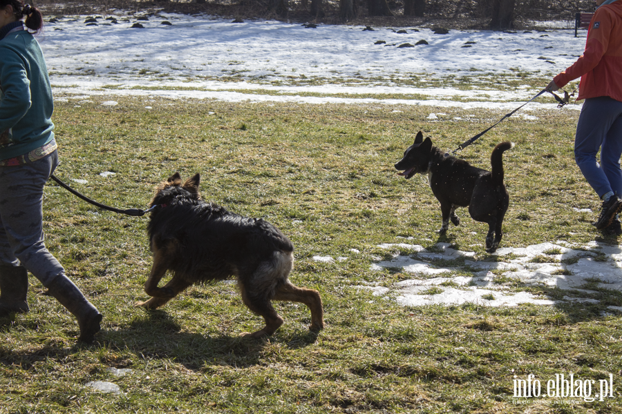 Wiosenny Bieg na 6 �ap, fot. 19