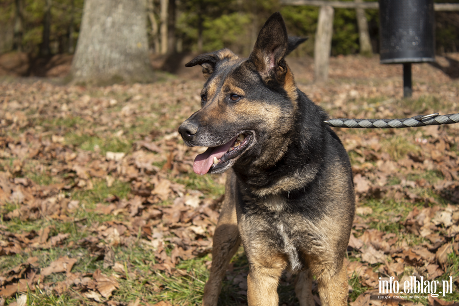 Wiosenny Bieg na 6 �ap, fot. 20