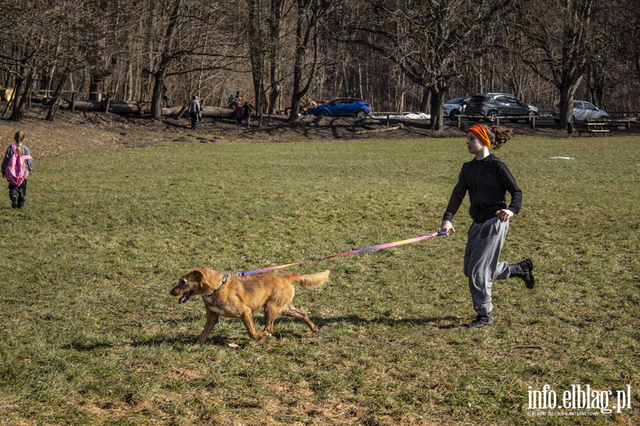 Wiosenny Bieg na 6 �ap, fot. 21