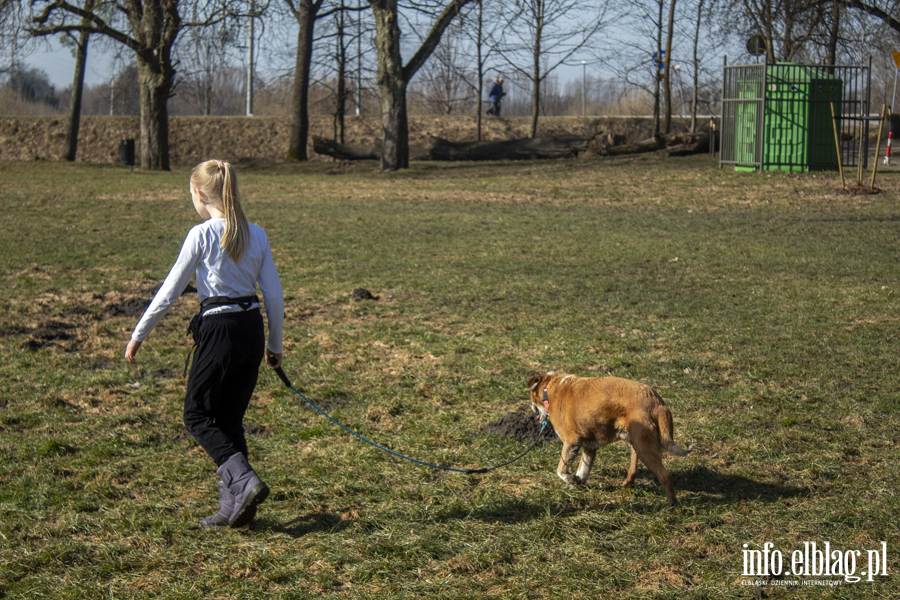 Wiosenny Bieg na 6 �ap, fot. 22