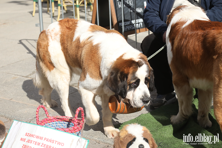 Ruszy� Jarmark Wielkanocny na Starym Mie�cie , fot. 16