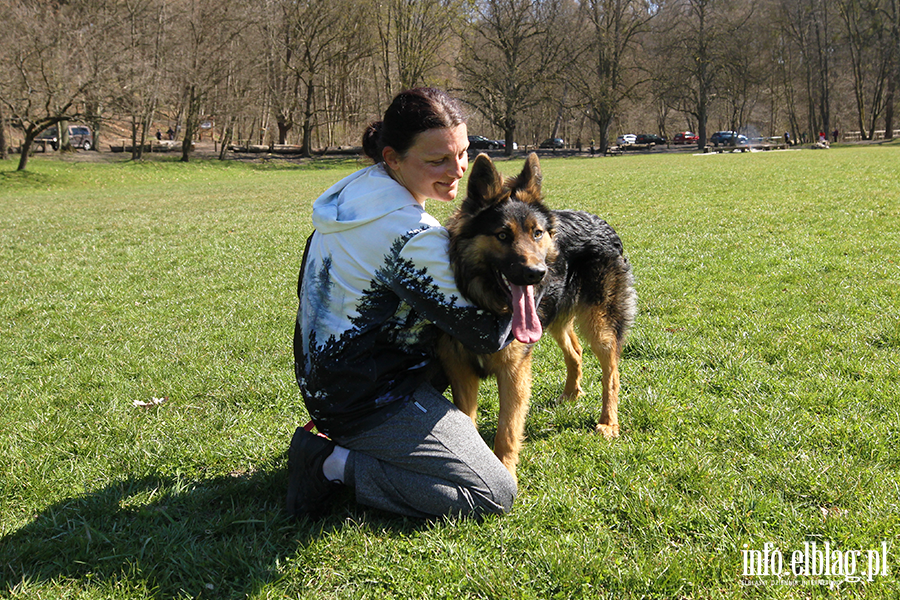 Bieg na 6 �ap 11.04