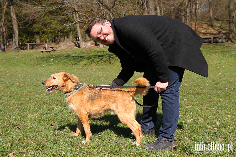 Bieg na 6 �ap 11.04, fot. 4