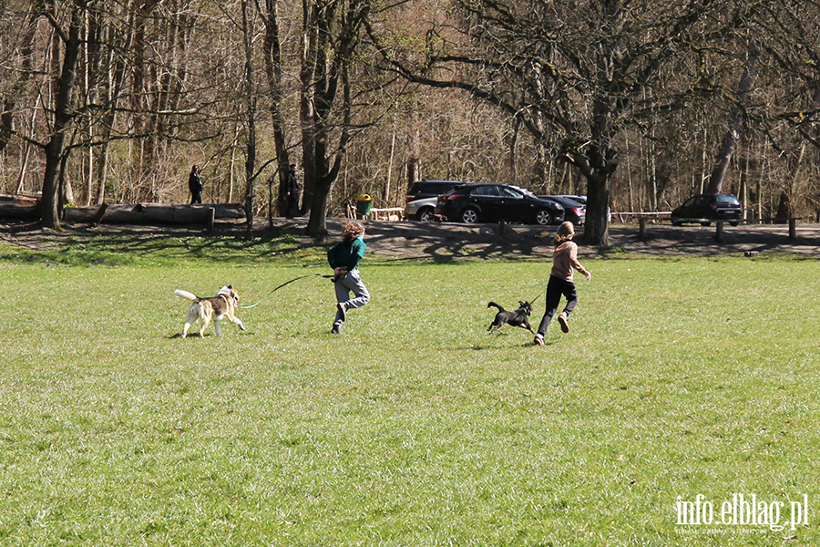 Bieg na 6 �ap 11.04, fot. 5