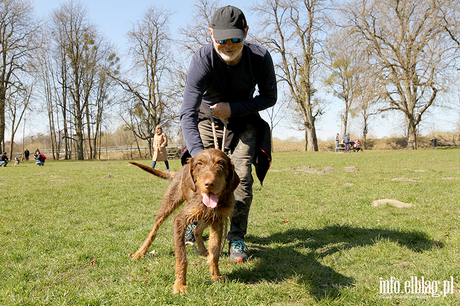 Bieg na 6 �ap 11.04, fot. 10