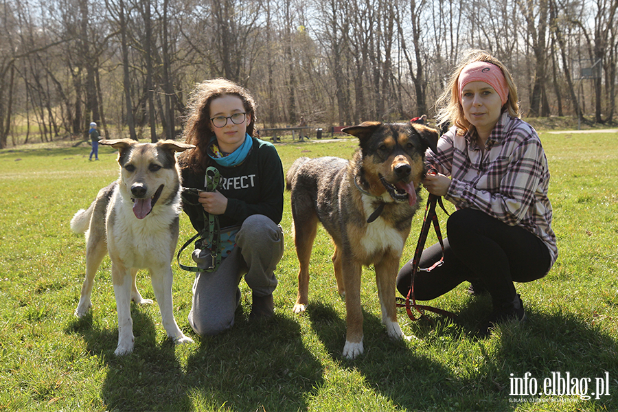 Bieg na 6 �ap 11.04, fot. 11