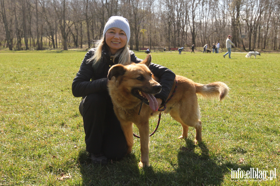 Bieg na 6 �ap 11.04, fot. 12