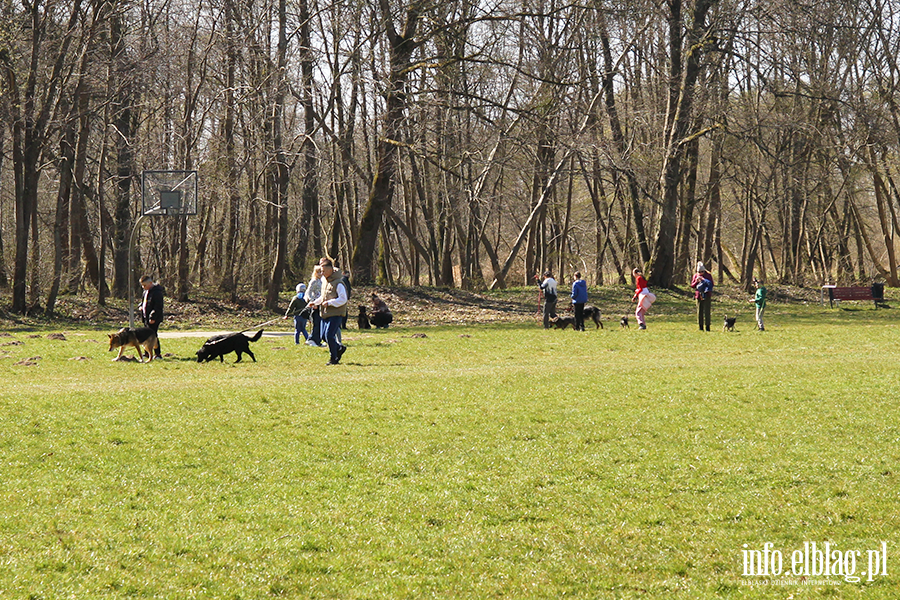 Bieg na 6 �ap 11.04, fot. 15