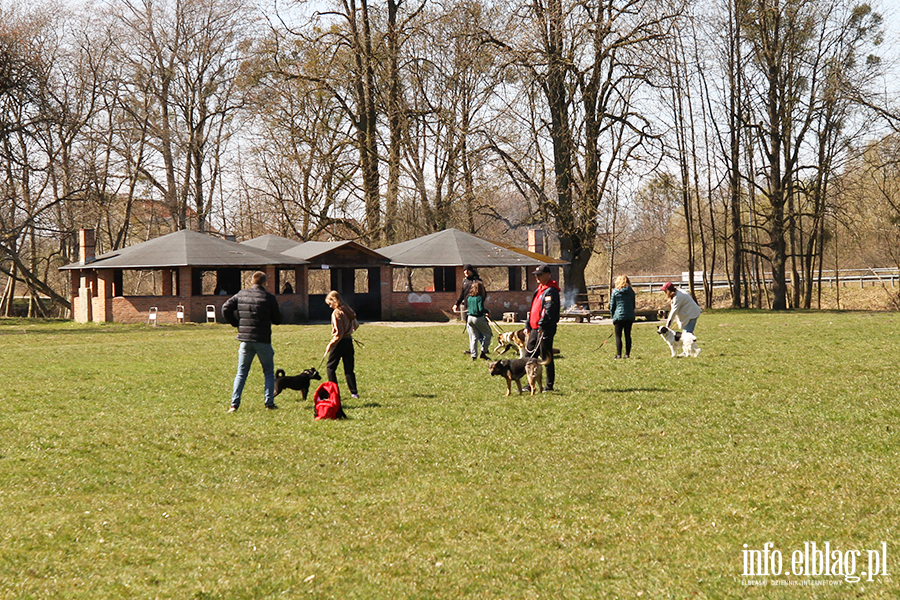 Bieg na 6 �ap 11.04, fot. 16