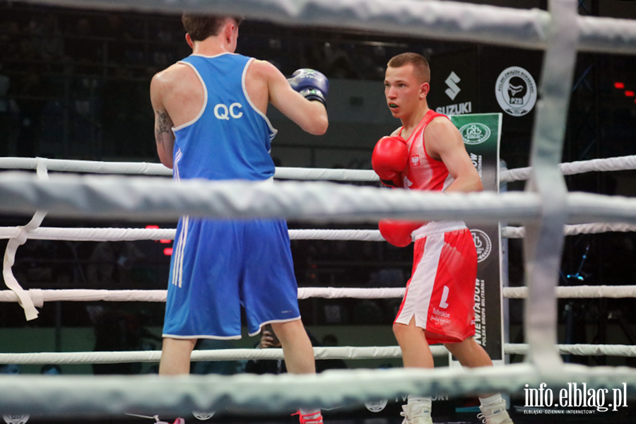Elbl�g gospodarzem Suzuki Boxing Night, fot. 14