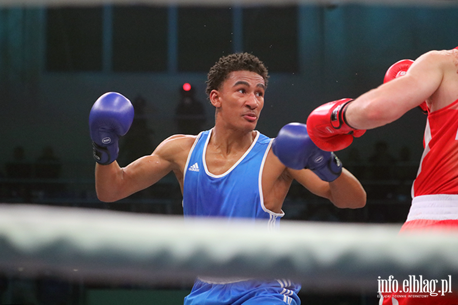 Elbl�g gospodarzem Suzuki Boxing Night, fot. 89