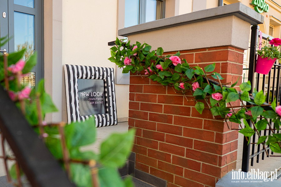 Konkurs na metamorfoze: rz�sy, fot. 48