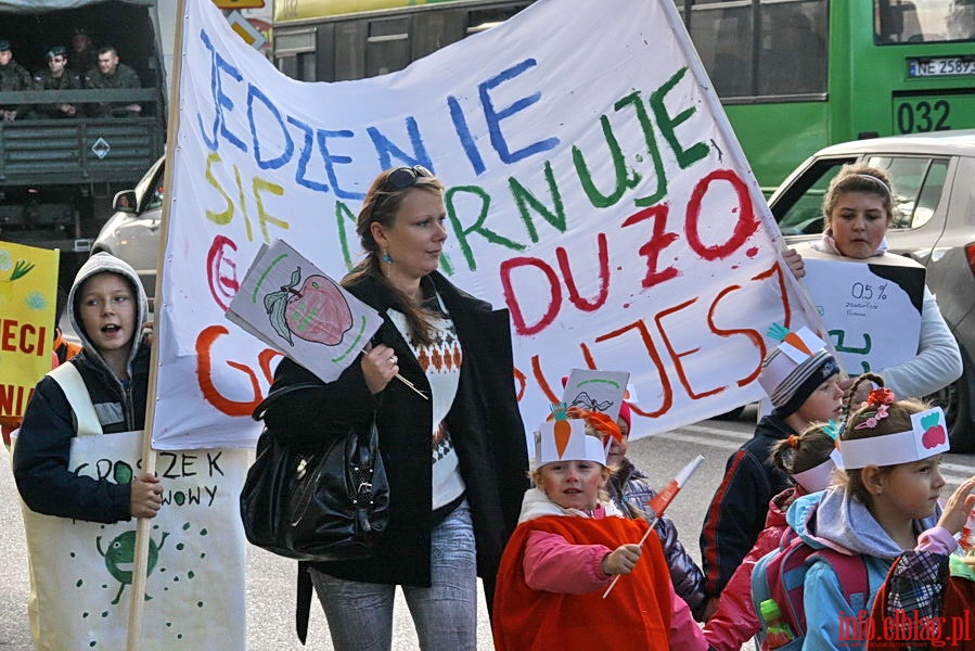 Strajk ywnoci w Elblgu - przemarsz ulicami miasta, fot. 13